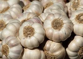 Bawang Putih